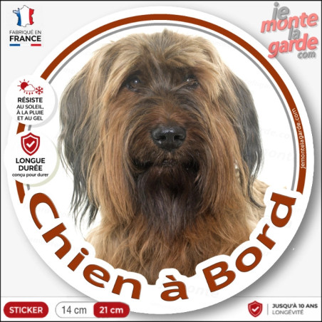 Sticker autocollant rond "Chien à Bord"  Briard, Berger de Brie fauve marron, adhésif vitre voiture, chien auto photo