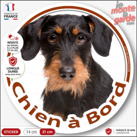 Teckel noir et feu à poils durs, sticker autocollant rond "Chien à Bord" Disque adhésif vitre voiture photo, résiste intempéries