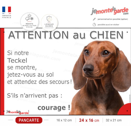 Teckel poils lisses fauve marron, plaque portail humour "Attention au chien, Jetez Vous au Sol, courage" photo, résiste dehors