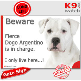 White Dogo Argentino gate sign displaying “Fierce Dogo Argentino is in charge only live here…!” with a calm, imposing portrait