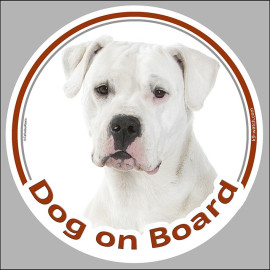 White Dogo Argentino “Dog on Board” sticker with a professional front-facing portrait and a calm, powerful expression.