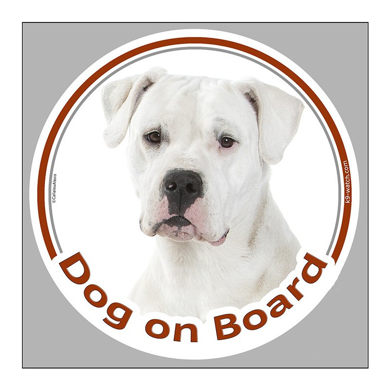 White Dogo Argentino “Dog on Board” sticker with a professional front-facing portrait and a calm, powerful expression. White Dogo Argentino “Dog on Board” sticker with a professional front-facing portrait and a calm, powerful expression.