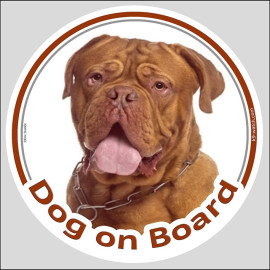 Dogue de Bordeaux “Dog on Board” sticker featuring “Dog on Board” with a powerful mahogany French Mastiff portrait.