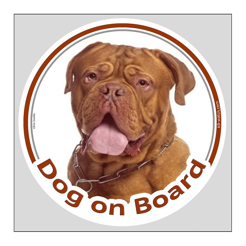 Dogue de Bordeaux “Dog on Board” sticker featuring “Dog on Board” with a powerful mahogany French Mastiff portrait.