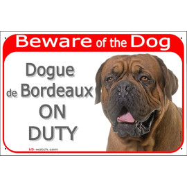 Dogue de Bordeaux with black mask “Beware of the Dog – Dogue de Bordeaux ON DUTY” warning sign.