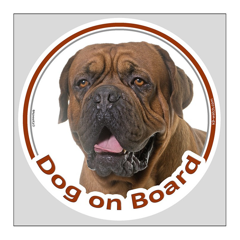 Black Mask Dogue de Bordeaux Dog on Board Sticker | French Mastiff Decal Black Mask Dogue de Bordeaux Dog on Board Sticker | French Mastiff Decal
