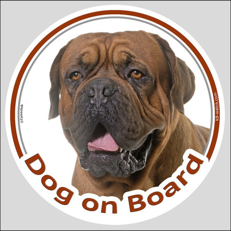 Black Mask Dogue de Bordeaux Dog on Board Sticker | French Mastiff Decal