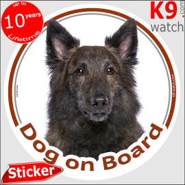 Long-haired Dutch Shepherd “Dog on Board” sticker featuring a rare brindle working dog portrait.
