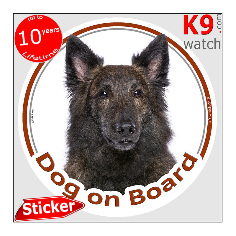 Long-haired Dutch Shepherd “Dog on Board” sticker featuring a rare brindle working dog portrait. Long-haired Dutch Shepherd “Dog on Board” sticker featuring a rare brindle working dog portrait.