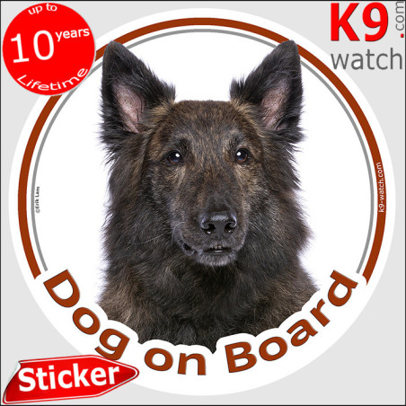 Long-haired Dutch Shepherd “Dog on Board” sticker featuring a rare brindle working dog portrait.