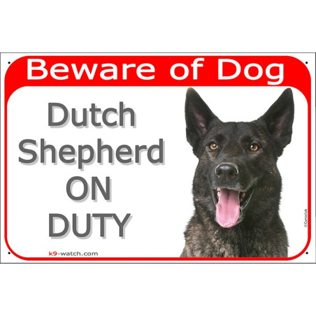 Brindle Dutch Shepherd “Beware of Dog – Dutch Shepherd ON DUTY” warning sign with alert expression.