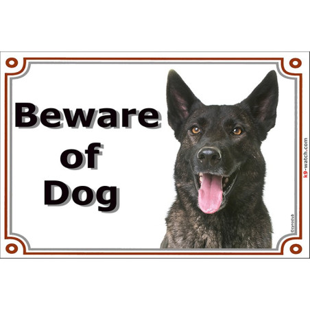 Beware of Dog Sign | Dark Brindle Dutch Shepherd | Short-Haired Hollandse Herder