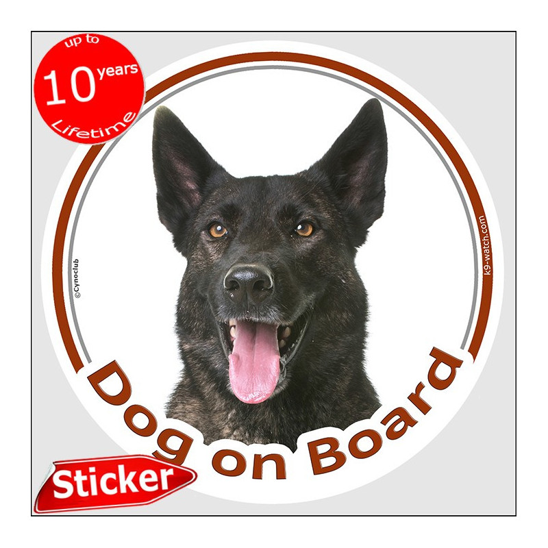 Dark brindle Dutch Shepherd “Dog on Board” sticker featuring a cheerful short-haired Hollandse Herder. Dark brindle Dutch Shepherd “Dog on Board” sticker featuring a cheerful short-haired Hollandse Herder.