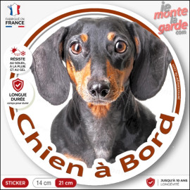 Teckel noir et feu à poils ras Tête, sticker autocollant rond "Chien à Bord" Disque photo adhésif vitre voiture