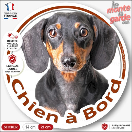 Teckel noir et feu à poils ras Tête, sticker autocollant rond "Chien à Bord" Disque photo adhésif vitre voiture