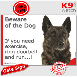 Brindle Dutch Shepherd humorous gate sign with “If you need exercise, ring doorbell and run…!” alert, intelligent expression.