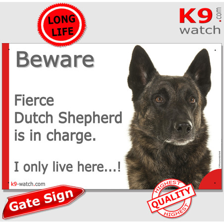 Fierce brindle Dutch Shepherd gate sign featuring “Beware Fierce Dutch Shepherd is in charge. I only live here…!”