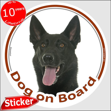Black short-haired Dutch Shepherd “Dog on Board” car sticker with realistic portrait for cars, vans, campers and trailers.