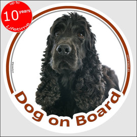 Black English Cocker Spaniel “Dog on Board” car sticker featuring an elegant long-haired portrait for vehicle windows.