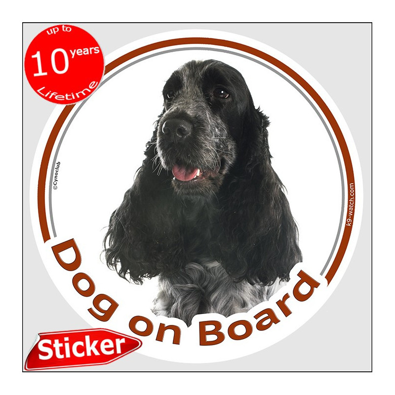 Blue Roan English Cocker Spaniel “Dog on Board” car sticker featuring a graceful long-haired portrait for vehicle windows.