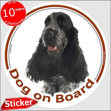 Blue Roan English Cocker Spaniel “Dog on Board” car sticker featuring a graceful long-haired portrait for vehicle windows.