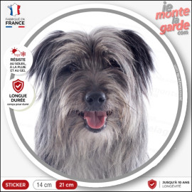 Labrit gris, sticker autocollant rond "photo" Berger des Pyrénées adhésif chien arlequin, résiste pluie soleil gel, idée cadeau
