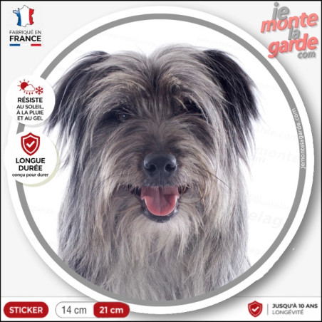 Labrit gris, sticker autocollant rond "photo" Berger des Pyrénées adhésif chien arlequin, résiste pluie soleil gel, idée cadeau