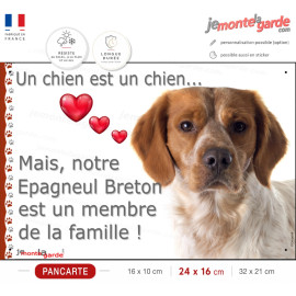 Epagneul Breton Orange, plaque "Un Chien est un Membre de la Famille" coeur photo, résiste pluie soleil gel, idée cadeau