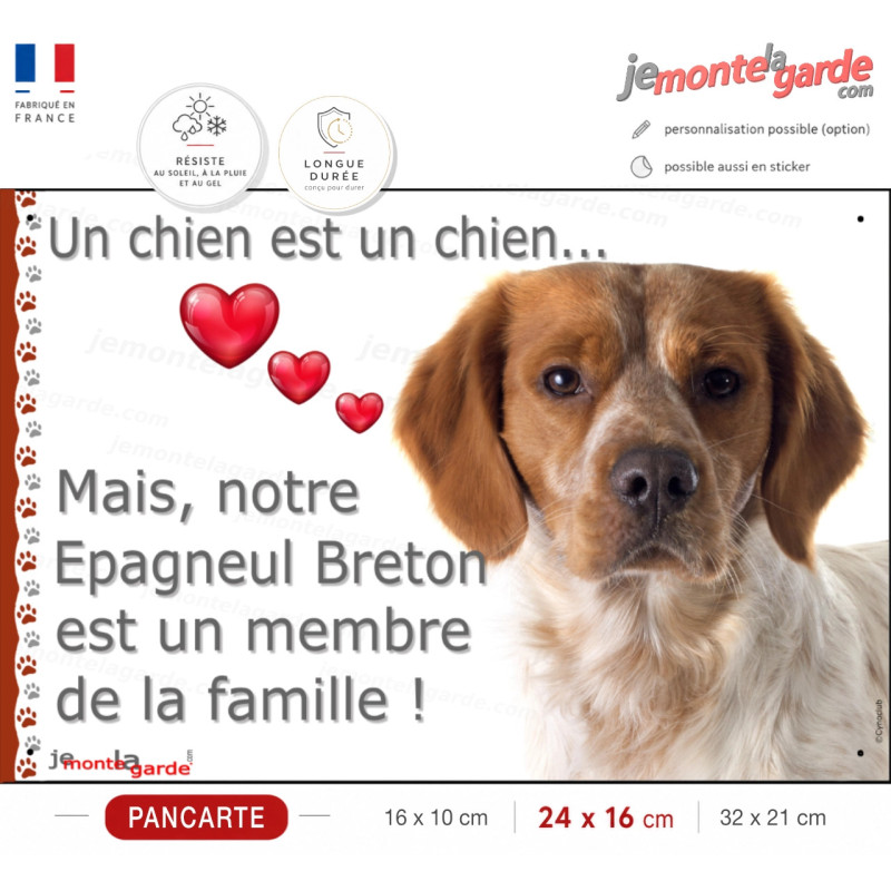 Epagneul Breton Orange, plaque "Un Chien est un Membre de la Famille" coeur photo, résiste pluie soleil gel, idée cadeau