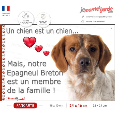 Epagneul Breton orange, plaque photo "Membre de la Famille" résiste dehors, 3 Tailles LOVE