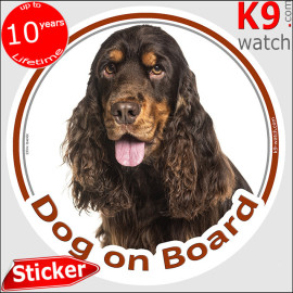 Chocolate & Tan English Cocker Spaniel “Dog on Board” car sticker featuring a beautiful long-haired portrait for vehicle windows