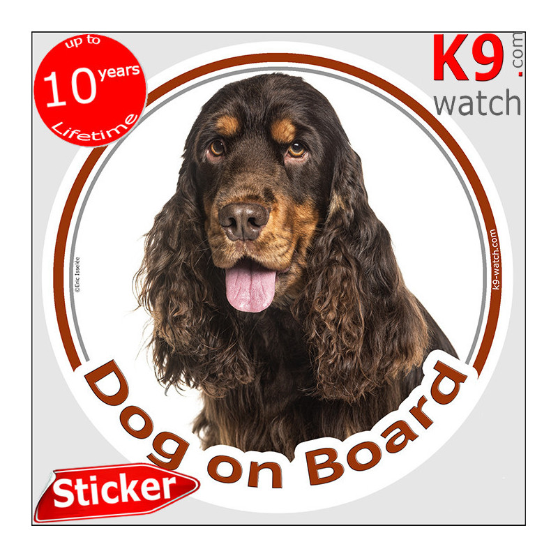 Chocolate & Tan English Cocker Spaniel “Dog on Board” car sticker featuring a beautiful long-haired portrait for vehicle windows