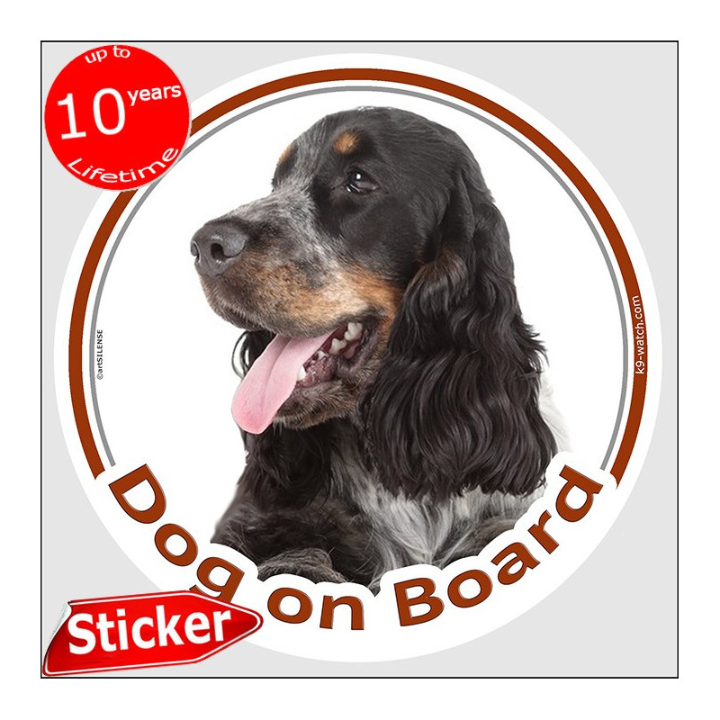 Tricolour English Cocker Spaniel “Dog on Board” car sticker featuring an elegant portrait for vehicle windows.