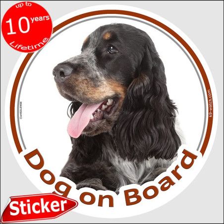 Tricolour English Cocker Spaniel “Dog on Board” car sticker featuring an elegant portrait for vehicle windows.