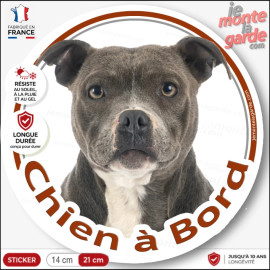 American-Staff gris bleu et blanc, sticker adhésif voiture "Chien à Bord" photo Amstaff Staff, résiste dehors