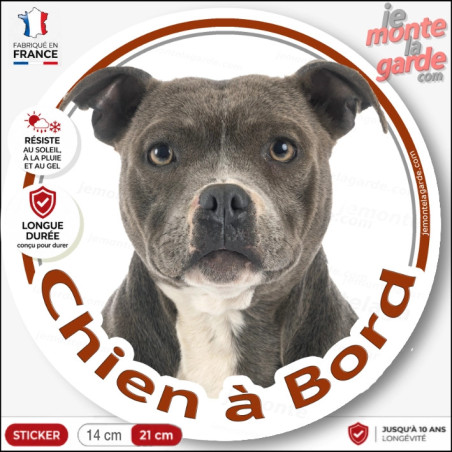 American-Staff gris bleu et blanc, sticker adhésif voiture "Chien à Bord" photo Amstaff Staff, résiste dehors