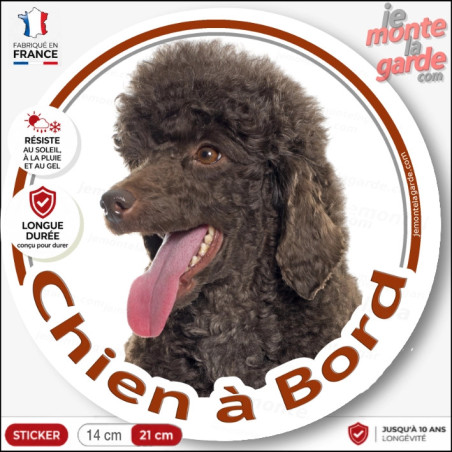 Caniche marron brun chocolat, sticker autocollant rond "Chien à Bord" Disque photo adhésif vitre voiture résiste intempéries