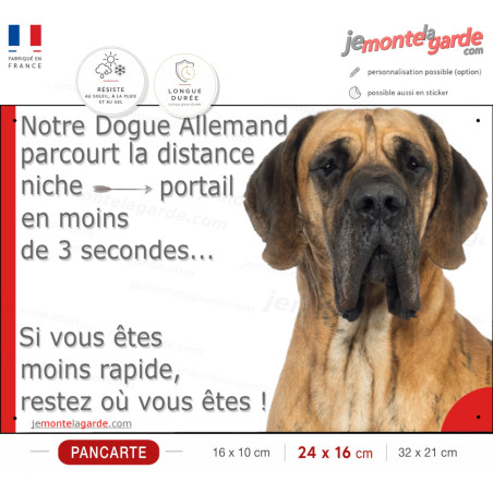 Danois fauve, plaque humour "parcourt distance Niche-Portail en moins de 3 secondes, rapide" photo Dogue Allemand marron