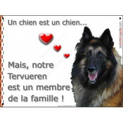  Pancarte portail Attention au Chien qui met en valeur votre Berger Belge Tervueren, car ce chien est un membre de la famille !
