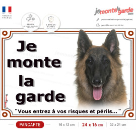 Berger Belge Tervueren tête, plaque portail "Je Monte la Garde, vous entrez à vos risques et périls" photo, résiste dehors