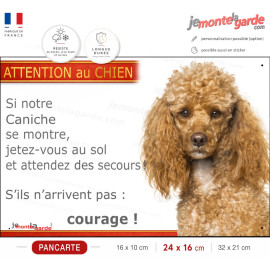 Caniche abricot, plaque portail humour "Attention au Chien, Jetez Vous au Sol, secours, courage" photo, résiste pluie soleil gel