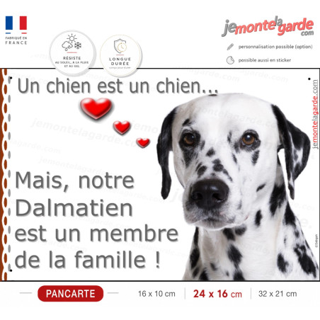 Dalmatien Tête, Plaque Portail photo "un chien est membre de la famille" résiste dehors, idée cadeau, fabriqué en France