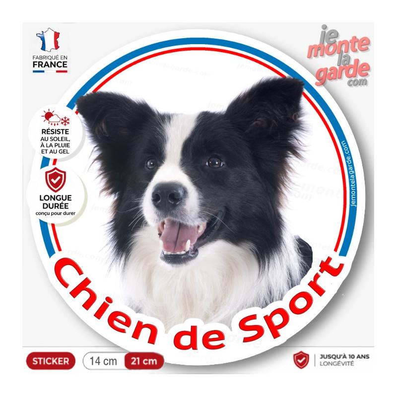 Border Collie noir et blanc poils longs, sticker rond "Chien de Sport" Disque autocollant agility photo, résiste dehors