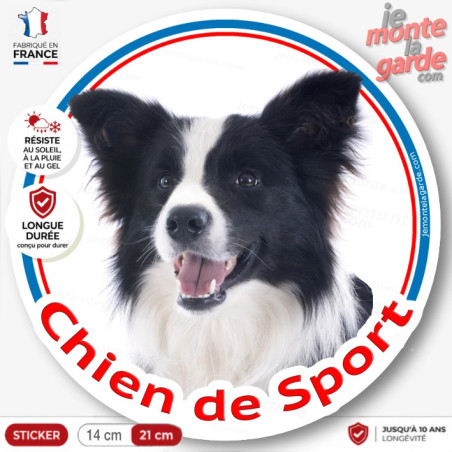 Border Collie noir et blanc poils longs, sticker rond "Chien de Sport" Disque autocollant agility photo, résiste dehors