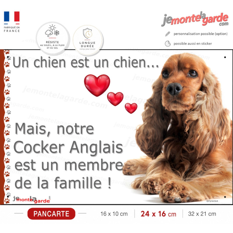 Cocker Anglais Golden, Plaque photo "un chien est un membre de la famille" spaniel, résiste pluie soleil gel, idée cadeau