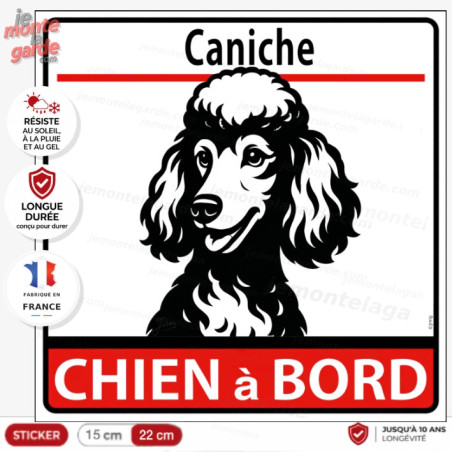 Sticker carré Caniche illustré en noir et blanc "CHIEN à BORD" résistant dehors et fabriqué en France pour voiture