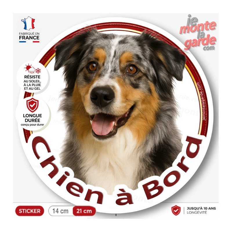 Sticker rond Berger Australien bleu merle tricolore "Chien à Bord" pour voiture, résiste dehors et fabriqué en France