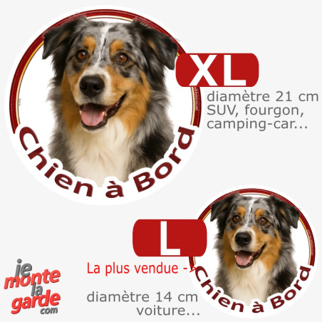 Berger Australien bleu merle, sticker rond voiture "Chien à Bord" 2 Tailles