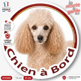 Sticker rond Caniche champagne "Chien à Bord" résiste dehors, fabriqué en France pour voiture et idée cadeau