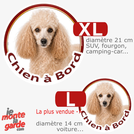Caniche champagne, sticker rond voiture "Chien à Bord" 2 Tailles